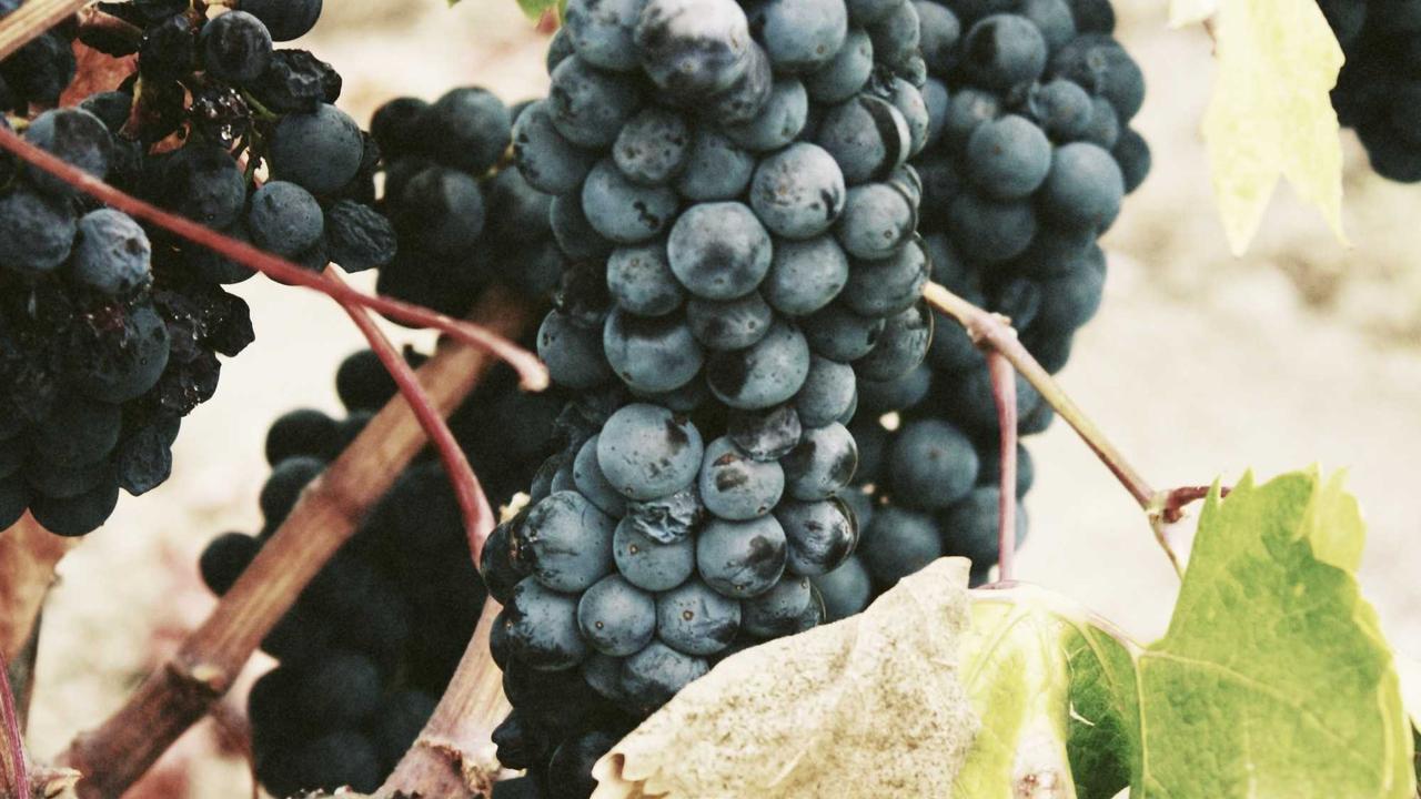 Parchi e sentieri: preparare una giornata all’aperto in sicurezza